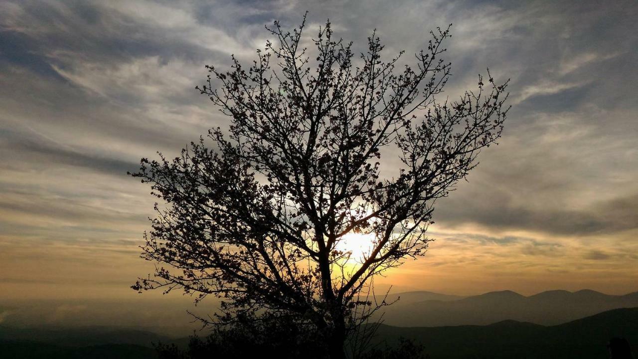 Philoxeninn #4 Polýgyros Dış mekan fotoğraf